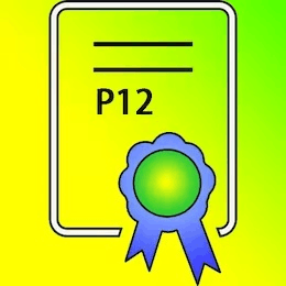 P12证书